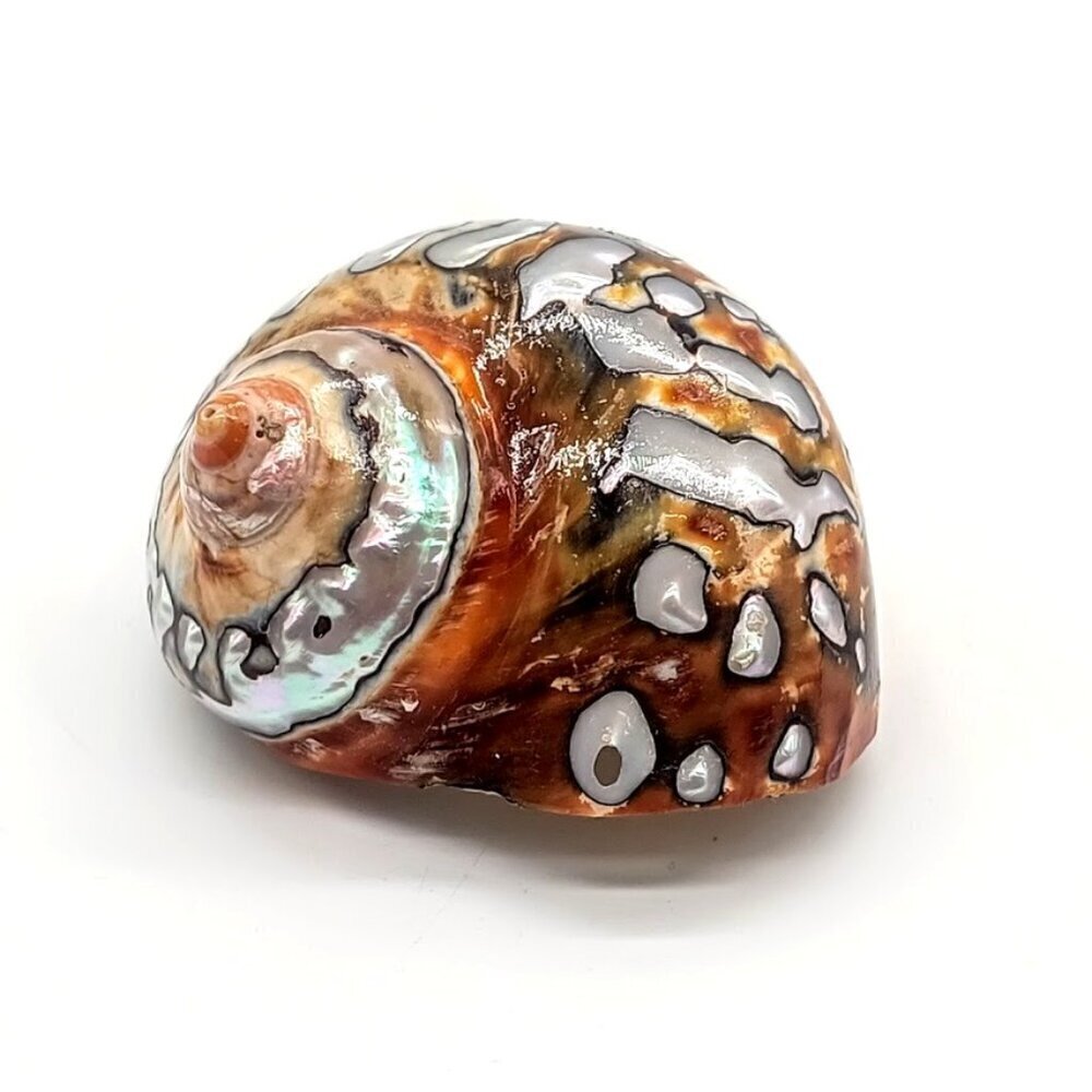 Mother of Pearl Shell Pendant